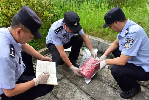 重庆警方破获一生产销售假劣中药丸剂案